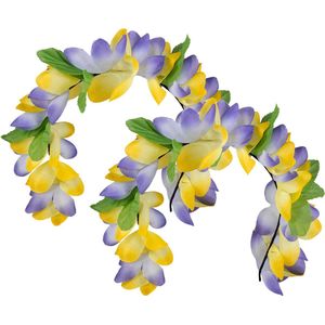 Boland Carnaval verkleed Tiara/diadeem - 2x - Tropische bloemen - dames/meisjes - Fantasy/tropical/hawaii thema