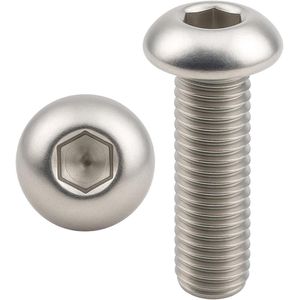 Schroef M12 x 25 mm Lenskop BTR RVS A2-70 20 stuks - DIN ISO 7380-1