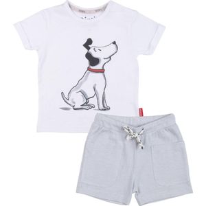 Leuke dieren enkelsokken Catroon style sokken - Wit met grijs - Unisex Maat 35-39