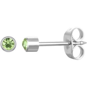 Aramat Jewels Oorbellen - Stalen Schietoorbellen met Kristalsteentje vanaf 3mm - Roestvrij staal - Mannen - Kinderen - [3mm]