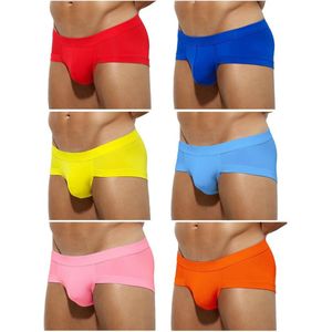 Sexy Mesh Ademende Tanga Onderbroek voor Mannen