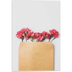 Forex - Enveloppe met Roze Bloemen - 40x60cm Foto op Forex