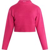 myMo - Korte Trui - Gebreid - Hooggesloten Kraag