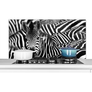Spatscherm keuken 120x60 cm - Kookplaat achterwand Zebra zwart-wit fotoprint - Muurbeschermer - Spatwand fornuis - Hoogwaardig aluminium