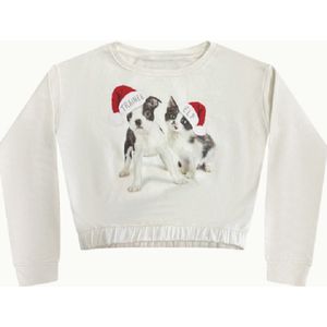 Kerst - trui- sweater -Hond en Kat - Trainee Elf - Wit - Meisjes - maat 146/152