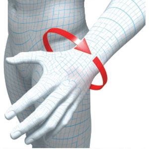 Neopreen polsspalk voor carpaal tunnelsyndroom - ademend en met duimspalk