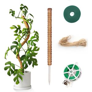 Buigbare Mosstok voor Klimplanten - 90 cm Kokos Totemstok met Tuingereedschap