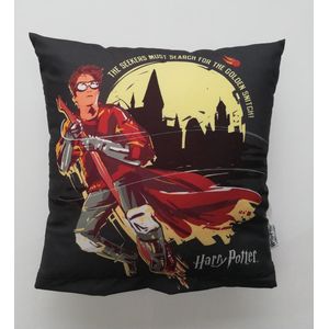 Carbotex Harry Potter - Sierkussen Kussen 40 x 40 cm inclusief vulling 100% polyester