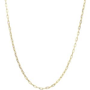Lucardi Dames Stalen goldplated ketting closed forever 2mm - Ketting - Staal - Goud - 55 cm