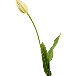 Viv! Home Luxuries Franse Tulp - zijden bloem - wit groen - 66cm