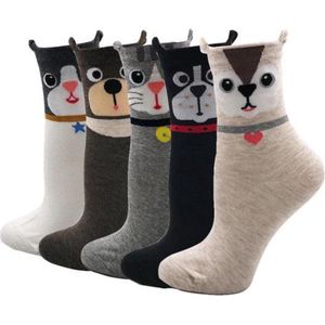 Winkrs - 5 paar Dieren Sokken - Cartoon - Damessokken set - Kindersokken met oortjes - Kat, beer, hond