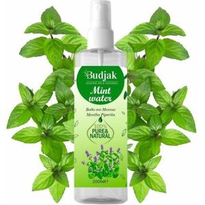 Biologische Bloemenwater van Munt - Mentha piperita - frisse voeten - baden - verlicht jeuk - vermindert roos 200 ml.