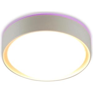 Plafondlamp Colorato 1X40W-E27 Paars