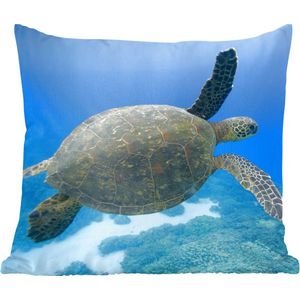 Sierkussen - Groene Zwemmende Schildpad Fotoprint - Blauw - 60 Cm X 60 Cm