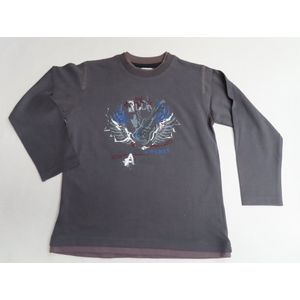 Trui - T-Shirt met lange mouw - Jongens - Grijst - Rock - 6 jaar 114