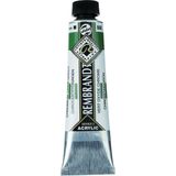 Rembrandt Acrylic Verf Serie 2 Chromium Oxide Green (668)