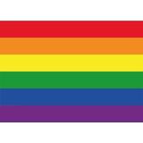 10x Binnen en buiten stickers Regenboog/LGBT 10 cm - Regenboog stickers - Supporter feestartikelen - Landen decoratie en versieringen