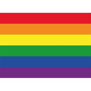 10x Binnen en buiten stickers Regenboog/LGBT 10 cm - Regenboog stickers - Supporter feestartikelen - Landen decoratie en versieringen