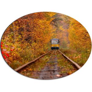 Dibond Ovaal - Tram - Bossen - Bomen - Spoor - Bladeren - Herfst - 56x42 cm Foto op Ovaal (Met Ophangsysteem)