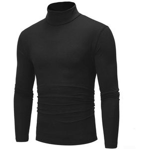 Stijlvolle herentrui met rolkraag en slanke pasvorm