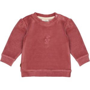 Frogs and Dogs - You Are Loved Baby Velvet Sweater | Mesa Rose - Katoen - Maat 74