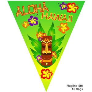 2 stuks Vlaggenlijn Aloha Hawaii , 10 meter, Zomer, Hawaii, Verjaardag, Tropische