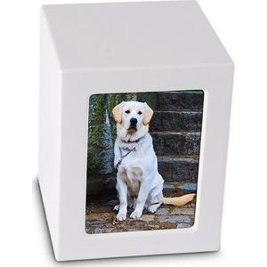 Foto Kist Urn Wit Mat - Houten urn voorzien van een veilige sluiting Klein - Asbeeld Dieren Urn Voor Uw Geliefde Dier - Kat - Hond - Paard - Konijn