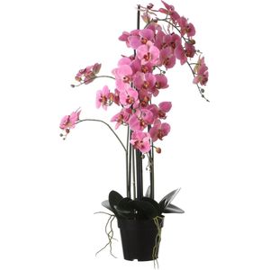 Mica Decorations Orchidee bloem kunstplant - roze - H97 x B19 cm