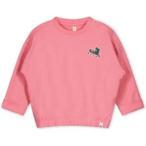 The New Chapter Unisex New born Sweaters D307-0332 maat 110