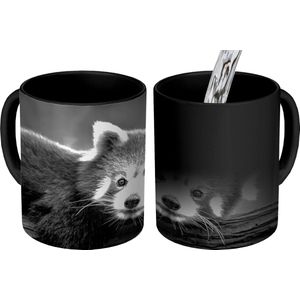 Magische Mok - Foto op Warmte Mokken - Koffiemok - Rode panda op een boomstam - zwart wit - Magic Mok - Beker - 350 ML - Theemok