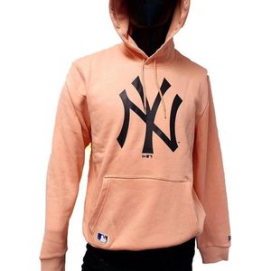 MLB SEASONAL TEAM LOGO HOODY NEYYAN DSR