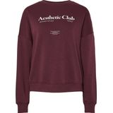 Pieces Trui Pcrisso Ls O-neck Loose Sweat Pwp B 17162357 Winetasting/aesthetic Dames Maat - M