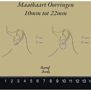 Aramat jewels ® - Stalen oorbellen zirkonia 9mm transparant