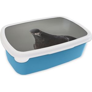 Broodtrommel Blauw - Lunchbox - Brooddoos - Een prachtige duif op een grijze achtergrond - 18x12x6 cm - Kinderen - Jongen