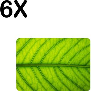 BWK Luxe Placemat - Close Up Groen Blad - Set van 6 Placemats - 35x25 cm - 2 mm dik Vinyl - Anti Slip - Afneembaar