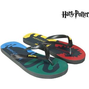 Harry Potter - Hogwarts Houses Premium Flip-Flops - Size 44