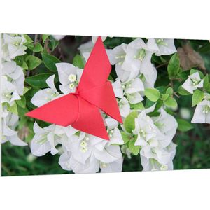 PVC Schuimplaat- Rode Origami Vlinder op Witte Bloeiende Bloemen - 150x100 cm Foto op PVC Schuimplaat