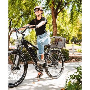 Fietsmand achter, fietsmand achter met waterdichte afdekking, fietsmand, bagagedrager, mand voor kleine hond, winkelen, picknick, fietsmand, schooltas, 40 x 30 x 19 cm