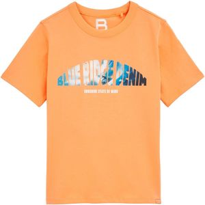 WE Fashion Jongens regular fit T-shirt met opdruk