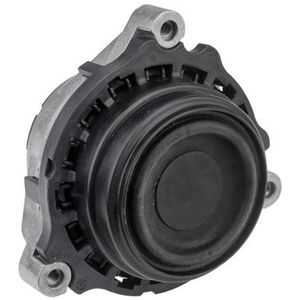 Aslichaam, motorsteunlager OEM 22116787659
