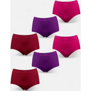 Hoge Taille Correctie Slip Naadloos Microfiber Ondergoed 6 Pack