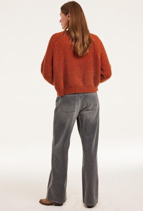 Didi - Cardigan Mona - Bruin - Gebreid Vest - Lange Mouwen