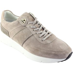 Greve Walker 7286.05 Roccia 3331