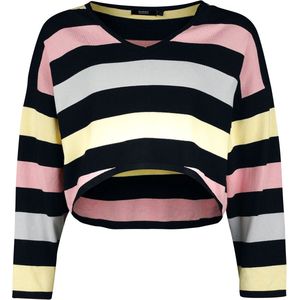Banned Nana Striped Jumper Dames Gebreide trui - meerkleurig - S