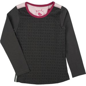 Birds by D-Rak T-shirt lange mouwen - antraciet/roze - maat 128