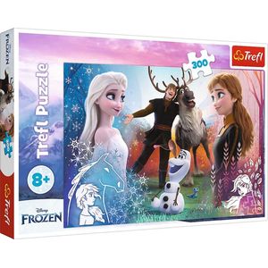 300 stukjes Disney Frozen puzzel (Magische Tijd)