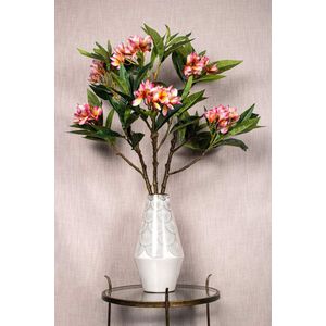 PTMD Plumeria Kunstbloem - 72 x 25 x 110 cm - Kunststof - Roze