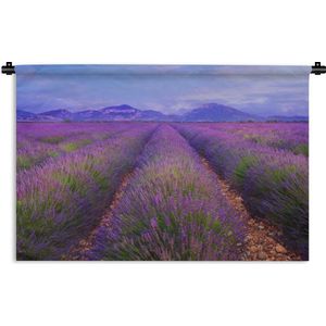 Wandkleed De lavendel - Rijen van lavendel voor bergen Wandkleed katoen 90x60 cm - Wandtapijt met foto