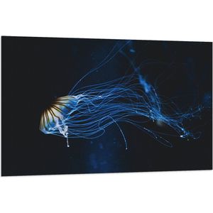 WallClassics - Vlag - Geel met Blauwe Kwal onder Water - 120x80 cm Foto op Polyester Vlag