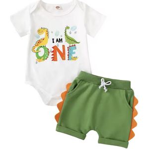Jungle Birthday Outfit Baby - Kleur: Groen - Maat: 80 / 12 Maanden / 1 Jaar - Eerste Verjaardag Outfit - Baby Outfit Jungle Thema - Cakesmash / Verjaardag Kleding - Babykleding - Kinderfeestje - Fotoshoot Kleding - Hoge Kwaliteit - Baby Een Jaar